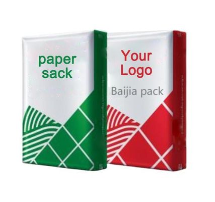 Custom Printing Color Valve Paper Bags Size Accepted Customizable