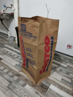 Custom Yard Multiwall Moisture Proof 30 Gallon Kraft Paper Bag For Leaf