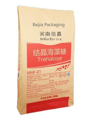 Powder Packaging Solutions Multiwall Kraft Paper Bags Custom Printed Sizes