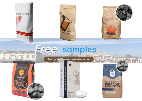 Flow Sterility Separated Pe Film Industrial Paper Bags Custom GMP Standard